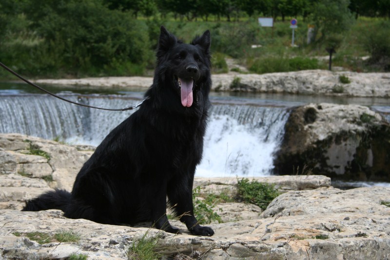 Onyx in La Roque-sur-Cèze (3).jpg